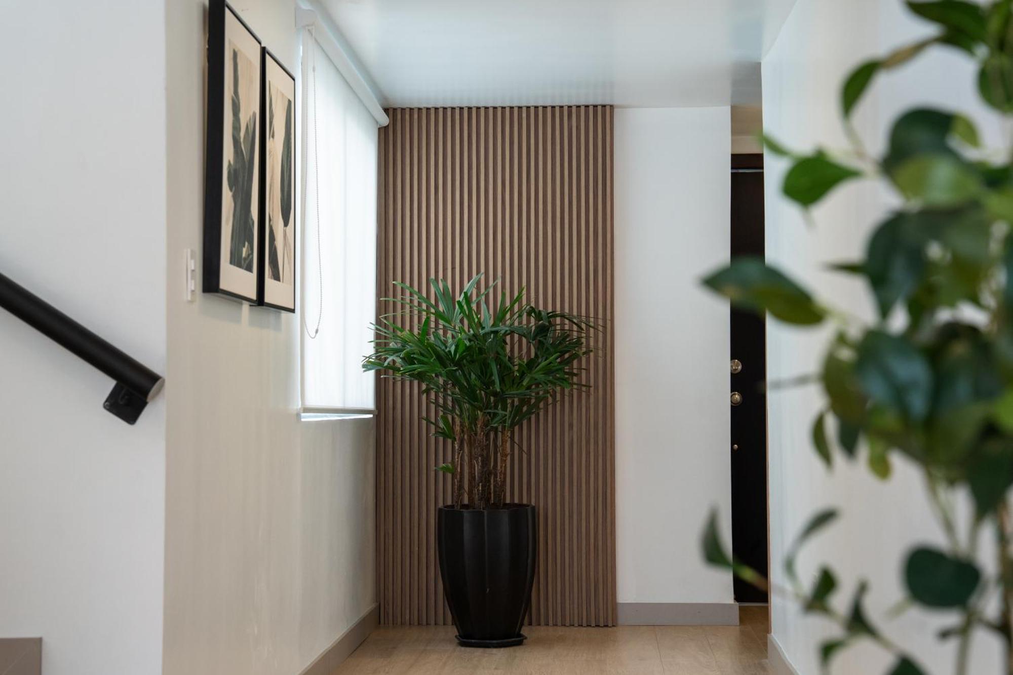 Spectacular Flat,3 Bedrooms, Central, Terrace, Free Parking كوينكا المظهر الخارجي الصورة